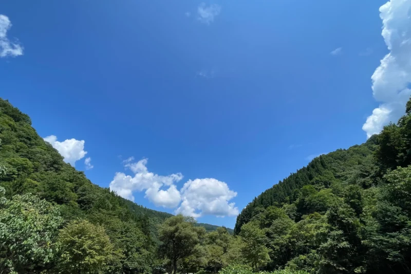 前の記事